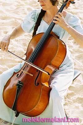cello 2057