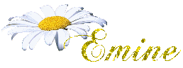 hareketli-isim9-4045.gif
