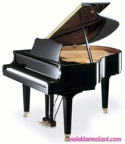 piyano 8354