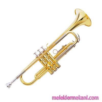 trompet 6813