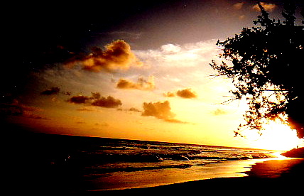 Beautiful_Barbados_by_Scubaozgirl.jpg