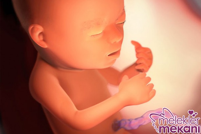 18-hafta-gebelik.jpg