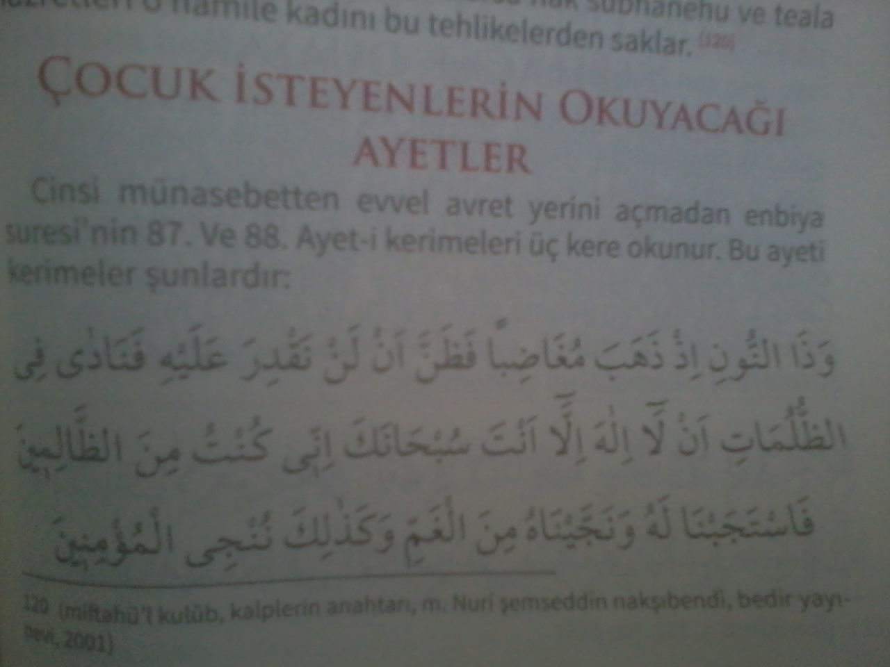 2014-10-08 12.27.29.jpg