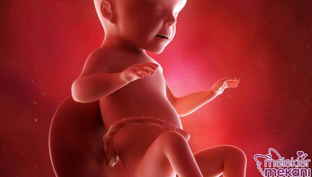 26 hafta gebelik.jpg