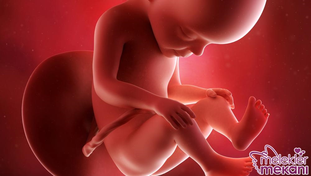 27 haftalık gebelik.jpg