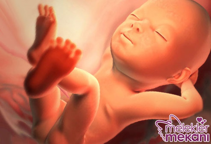 29 haftalık gebelik.jpg