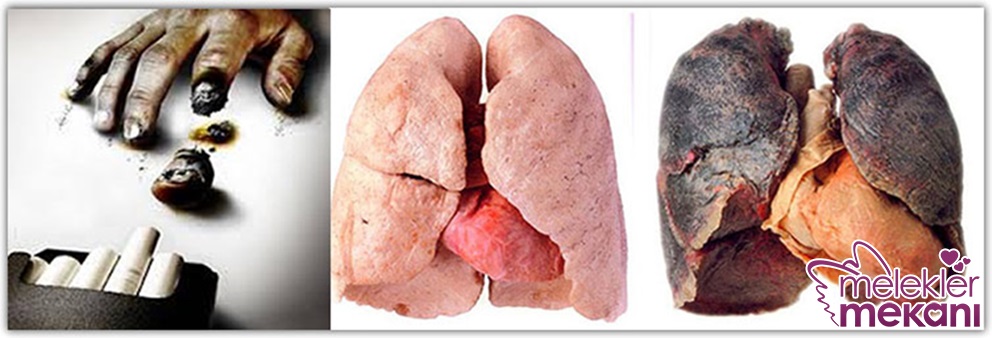 akciğeri temzileme çayı.jpg