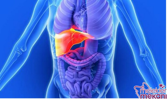 akut karaciğer yetmezliği.jpg