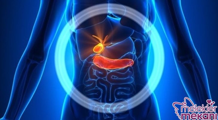 Akut kolesistit.jpeg