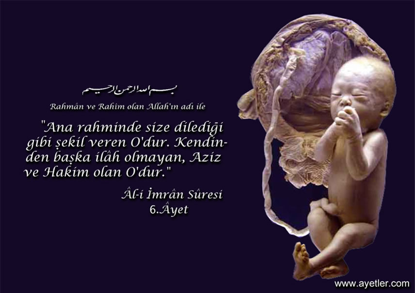 Al-i iMRAN 6_jpg.jpg