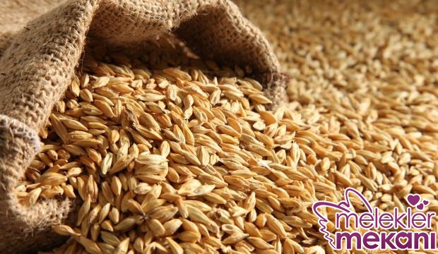 arpa nedir ne işe yarar.jpg