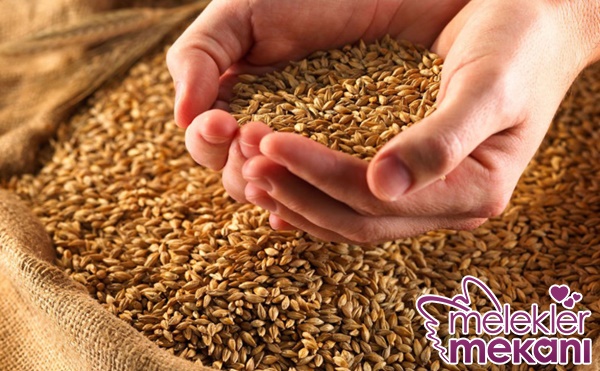 arpanın faydaları nelerdir nasıl kullanılır.jpg