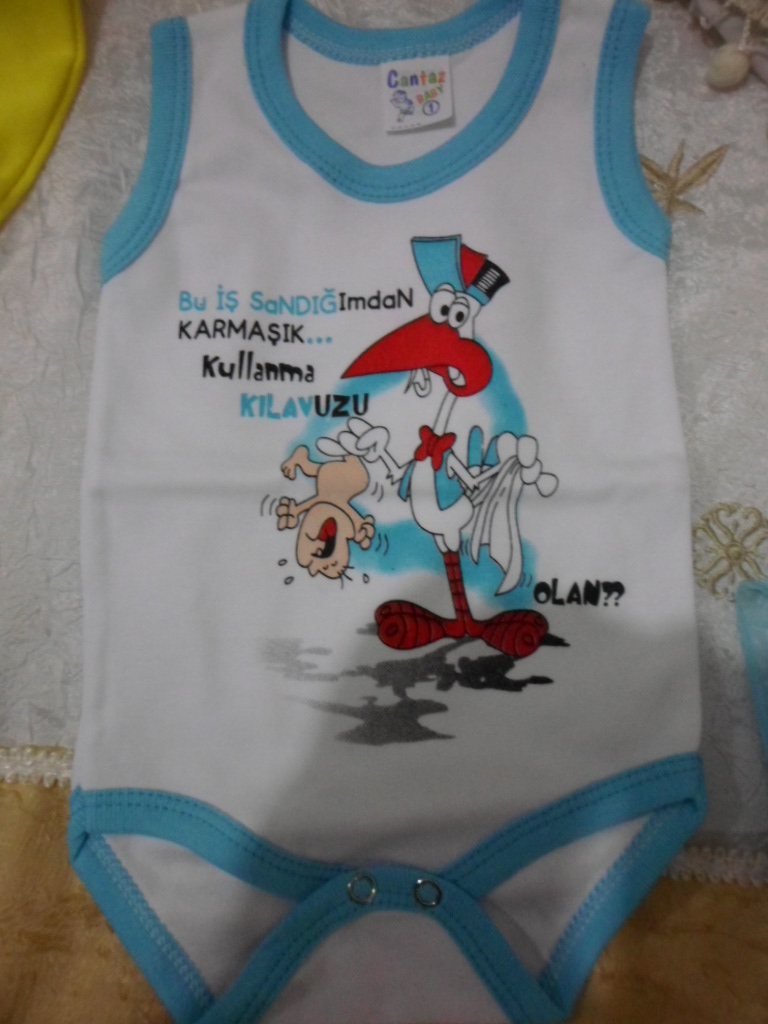 bal_arısı_1 (10).JPG