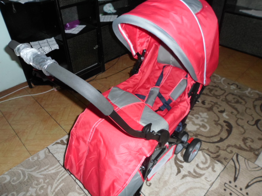 bal_arısı_1 (17).JPG