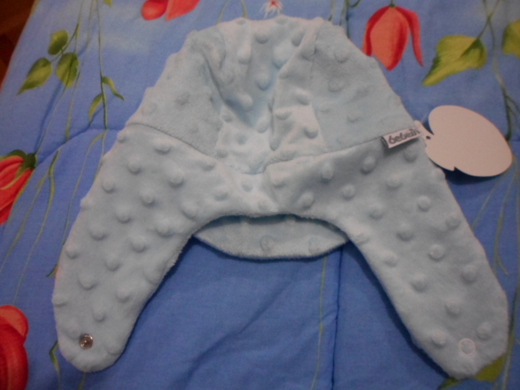 bal_arısı_1 (19).JPG