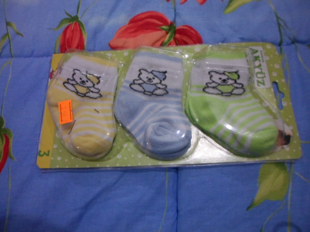 bal_arısı_1 (21).JPG