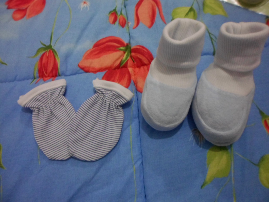 bal_arısı_1 (22).JPG