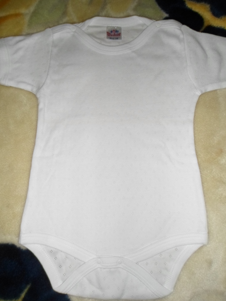 bal_arısı_1 (23).JPG