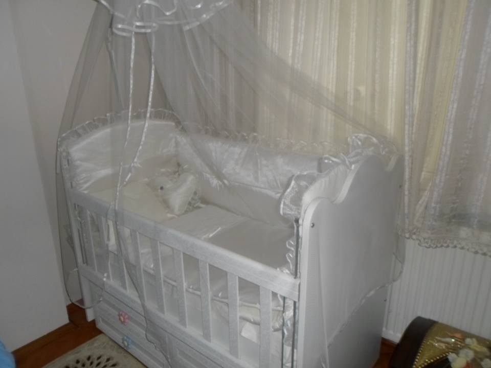 bal_arısı_1 (3).jpg