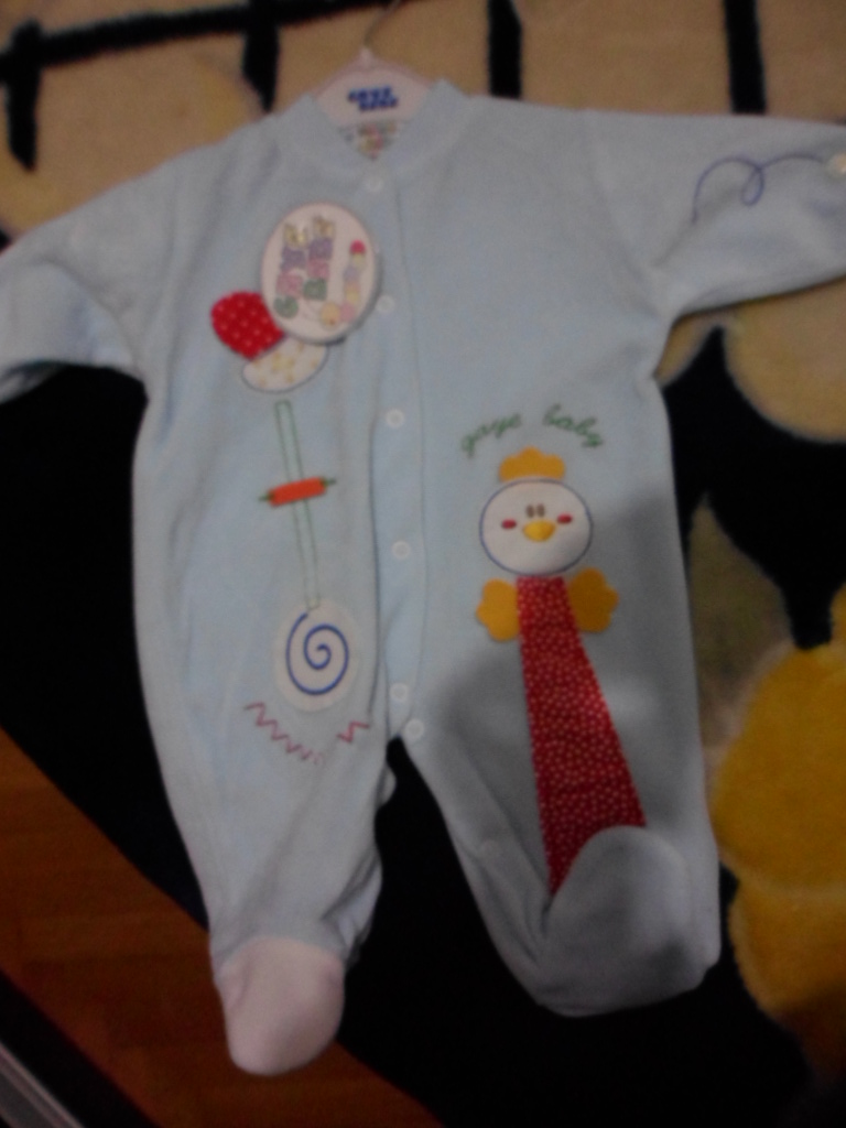 bal_arısı_1 (36).JPG