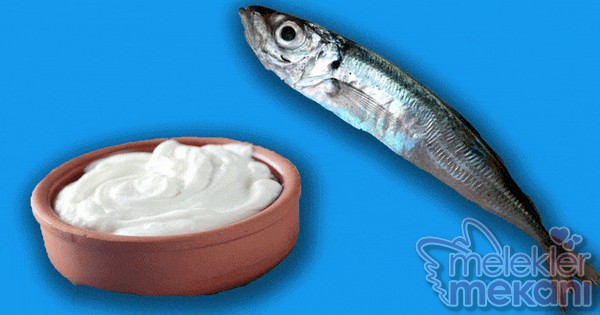 balık ile yogurt.jpg