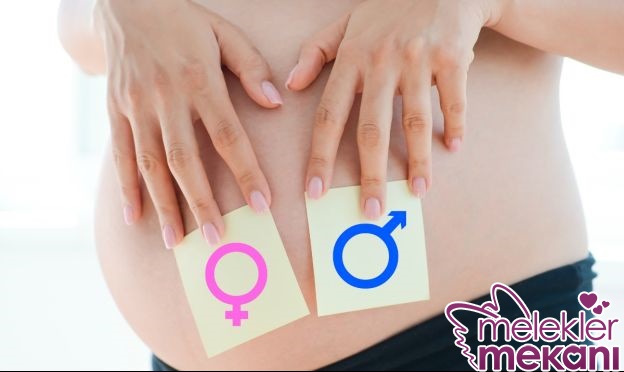 bebeğin cinsiyeti.jpg