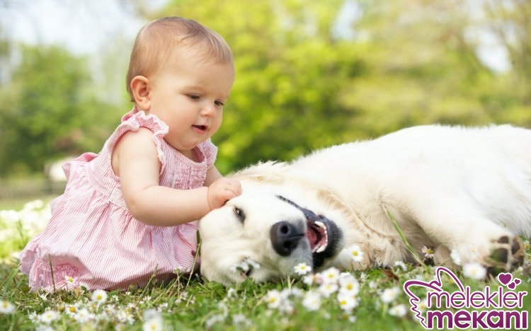 bebek resimleri 7.jpg