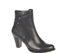 bentini bot (20).jpg