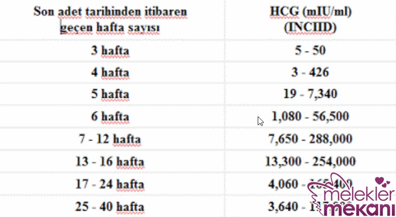 beta hcg degerleri.jpg