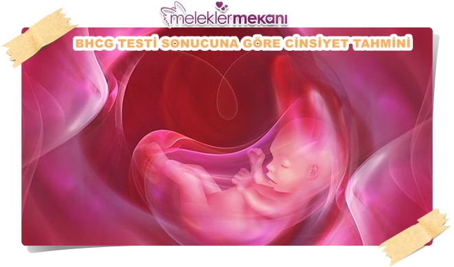 beta hcg ikili tarama testi sonucu cinsiyet tahmini.jpg