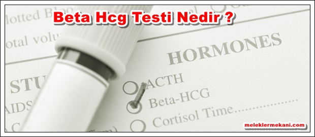 beta hcg nedir.jpg