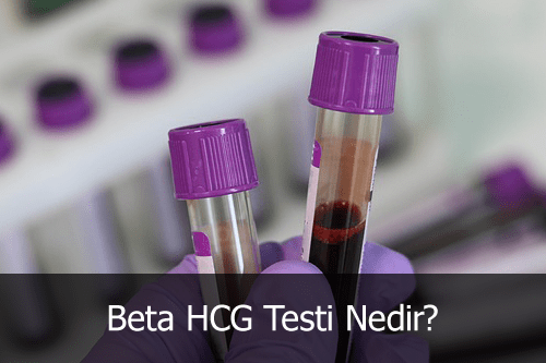 beta hcg testi nedir beta hcg testi yanılırmı.png