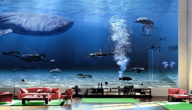 bill gates evi (1).jpg