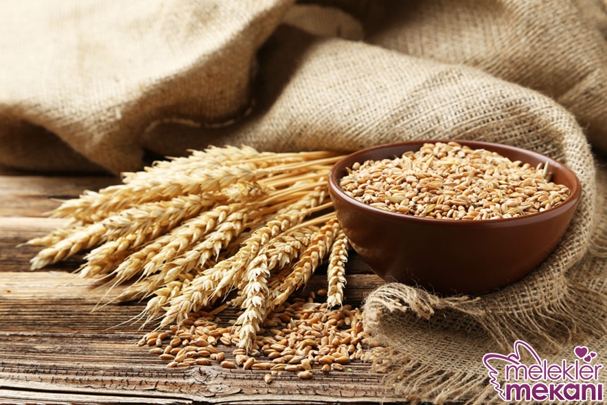 bugday faydaları.jpg