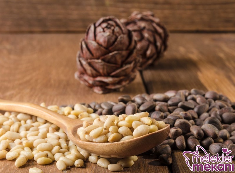 çam fıstığı.jpg