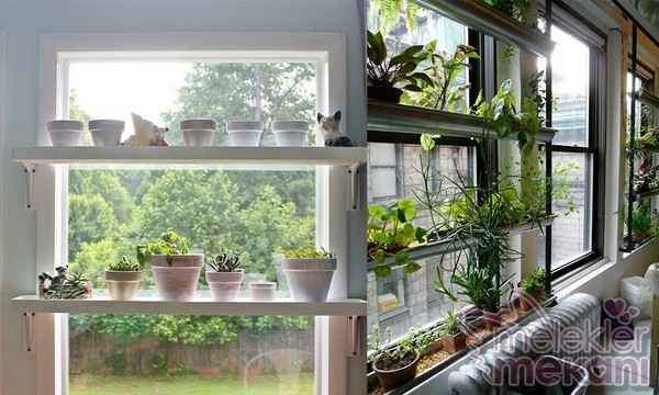 cam kenarı dekorasyonu.jpg