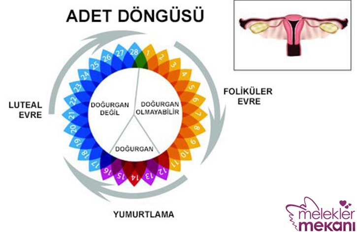 çevrim sonu.jpg