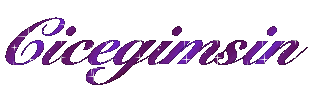 cicegimsin0kh.gif