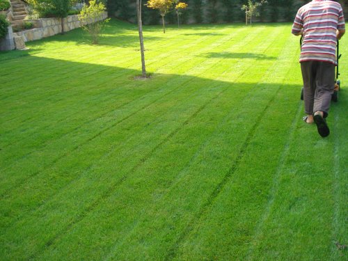 cim nasil bicilir.jpg