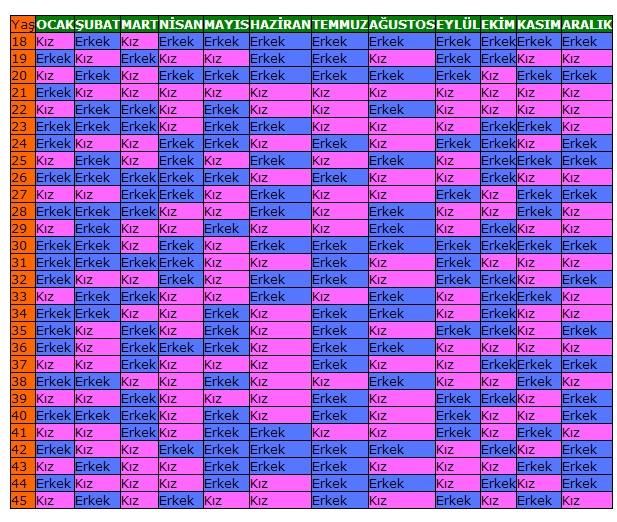 Çin yaşı çizelgesi.jpg