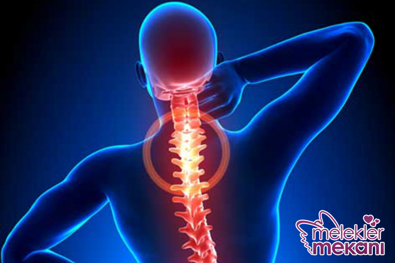 dejeneratif hastalık.png