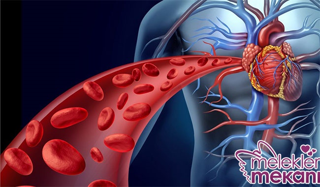 dolaşımı arttırmak.jpg