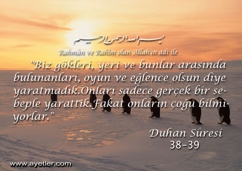 DUHAN 38-39_jpg.jpg