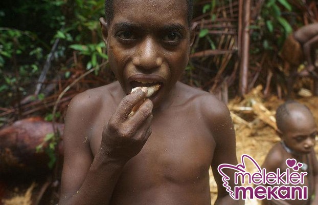 dunyanin-son-yamyam-kabilesi-korowailer-endonezya-1512162.JPG