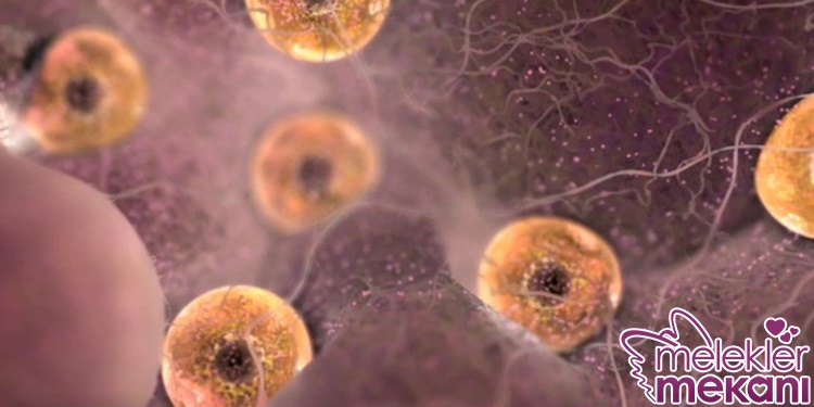 erken yumurta yetmezliğinde anne olanlar.jpg