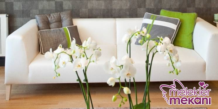 ev dekorasyon önerileri 1.jpg