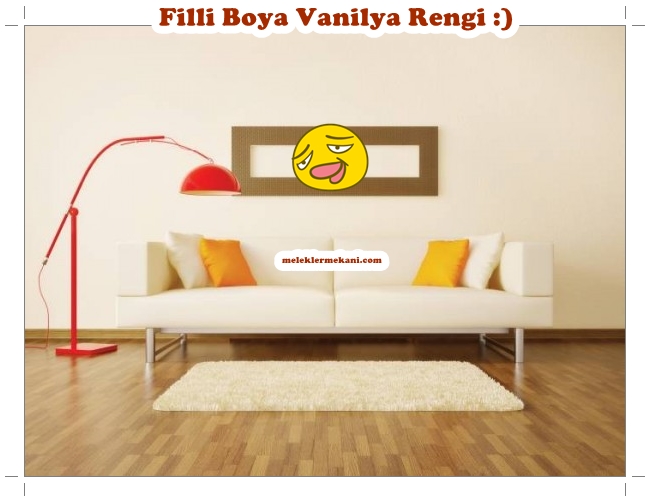 filli boya vanilya rengi renk kodu.jpg