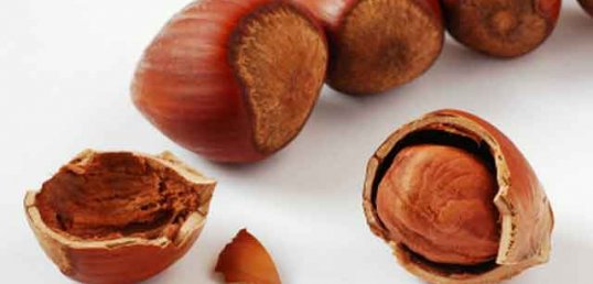 findik yagi faydalari.jpg