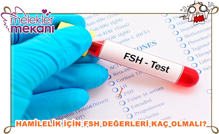 fsh değerleri hamilelik için kaç olmalı.jpg