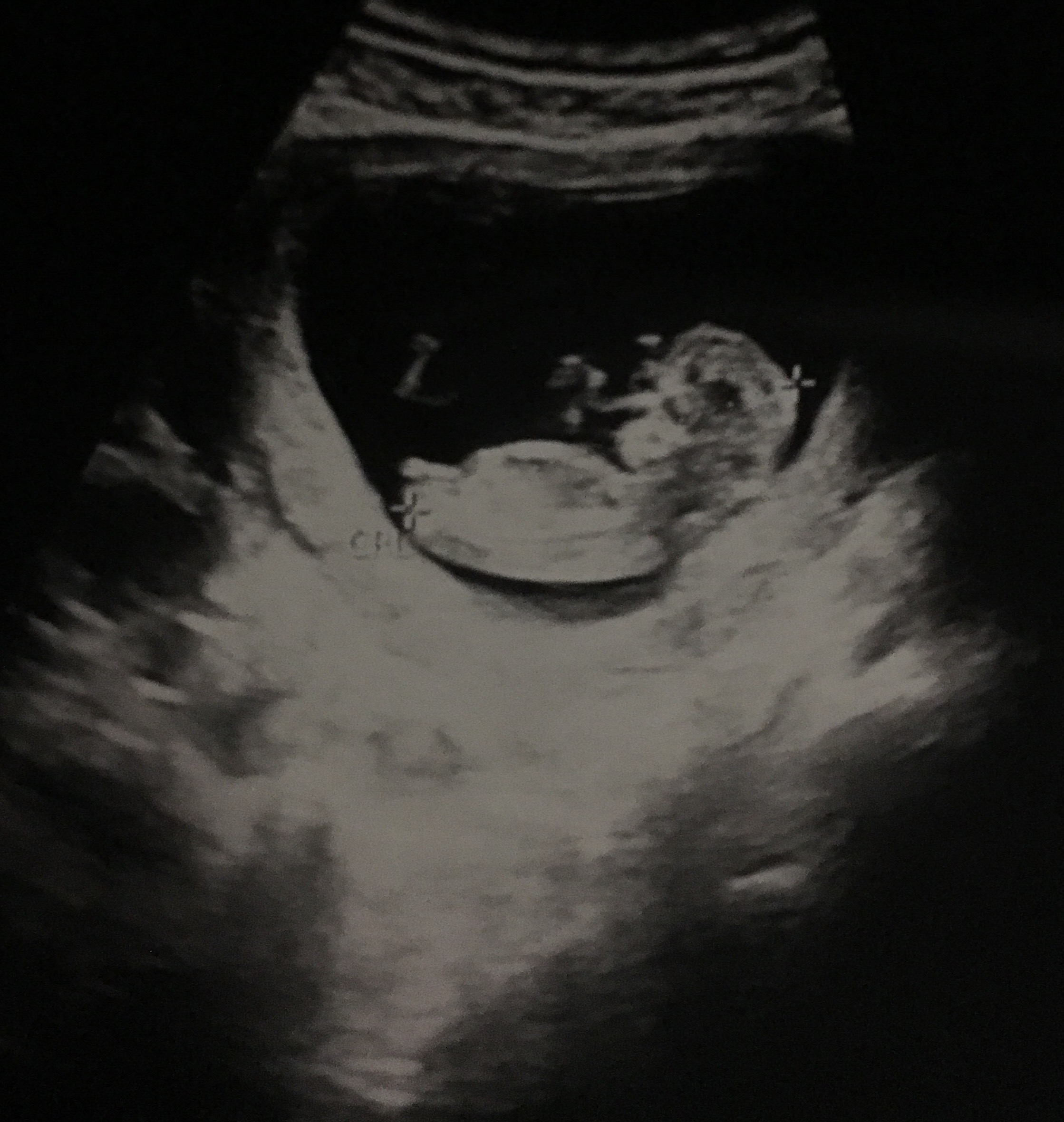 FullSizeRender (7).jpg